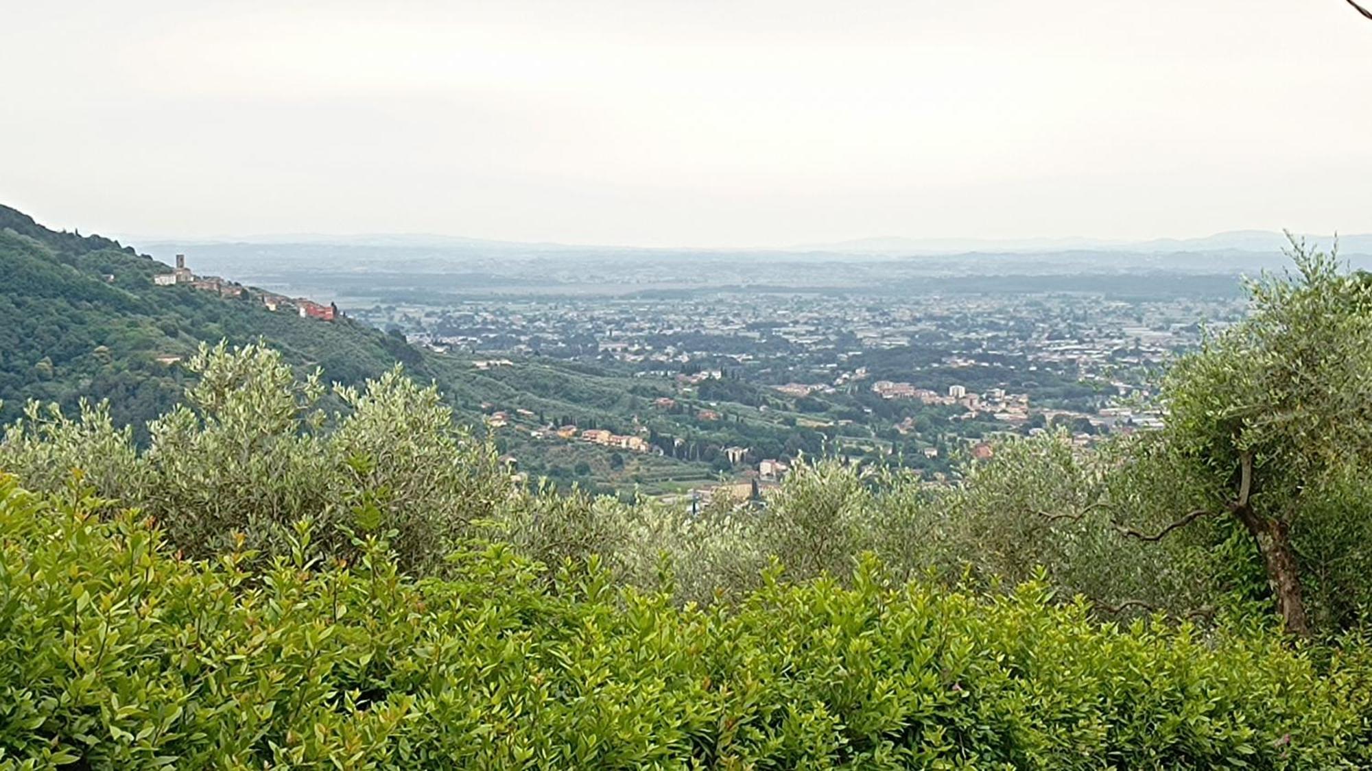 La Pesciatina